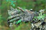 Obsession - NWTF